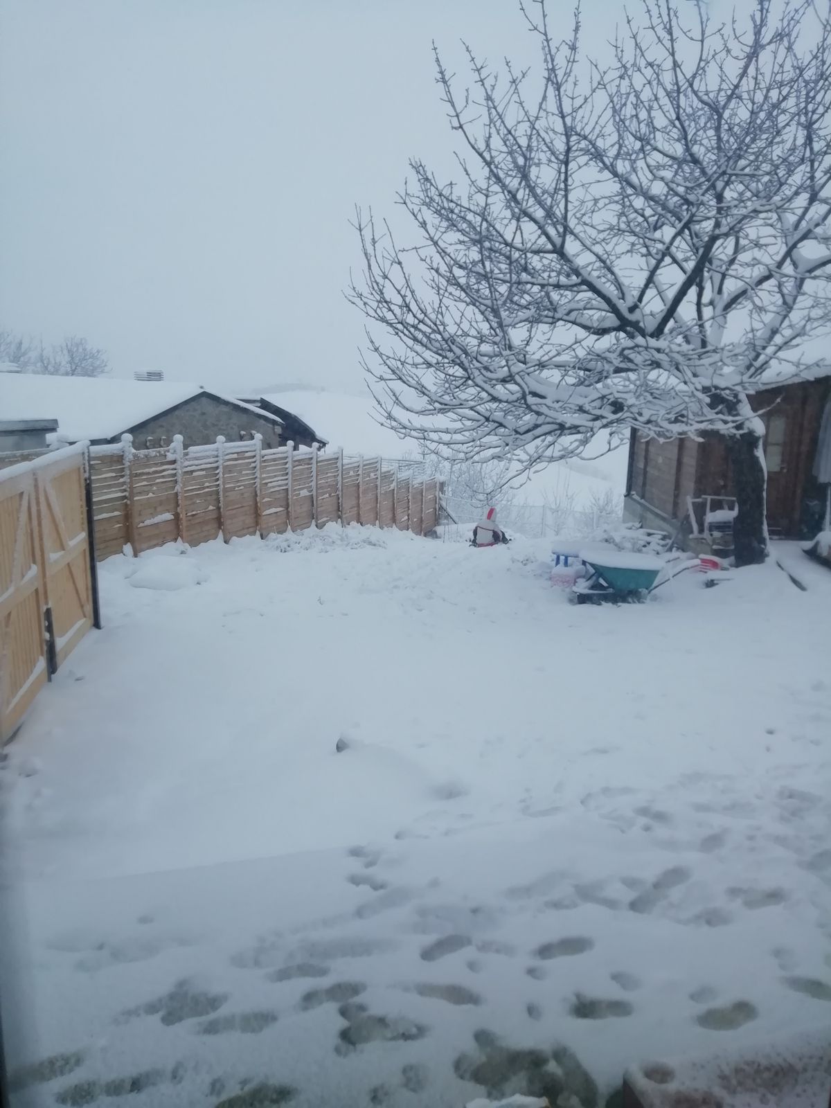 Garden covered in deep snow during an Abruzzo winter